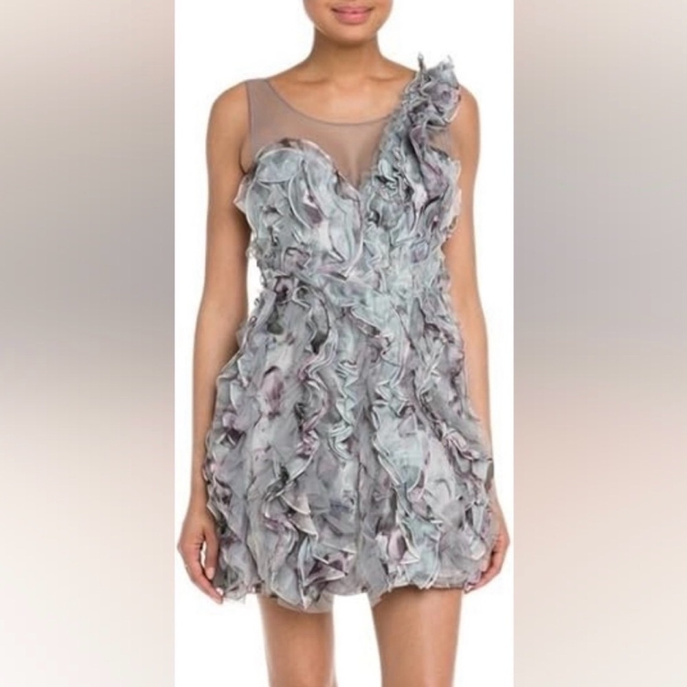 BCBGMAXAZRIA Eva Silk Tulle Organza Agate Combo Ruffle Illusion Mini Dress Sz 12 - Picture 6 of 6